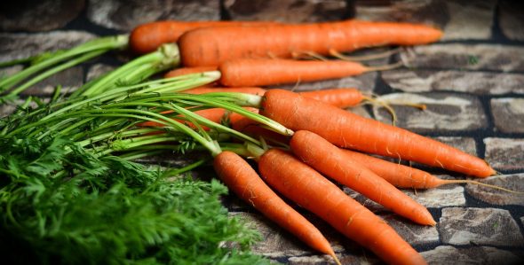 A bunch of bright orange carrots on a gray backdrop.